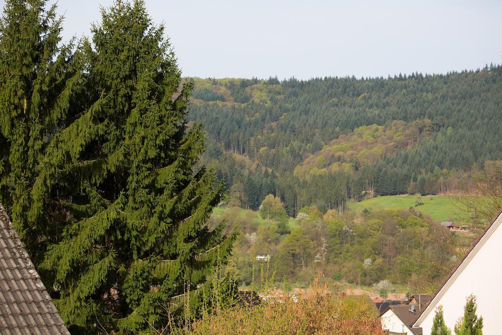 Schoene Aussicht Seelbach  Bilik gambar